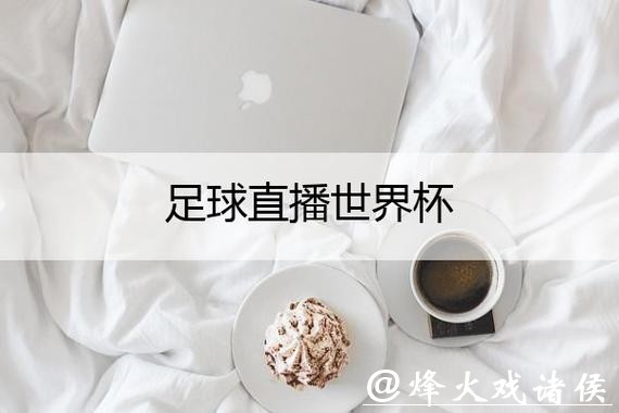 世界杯比分直播互动平台,边看边聊 世界杯比分直播互动平台,边看边聊